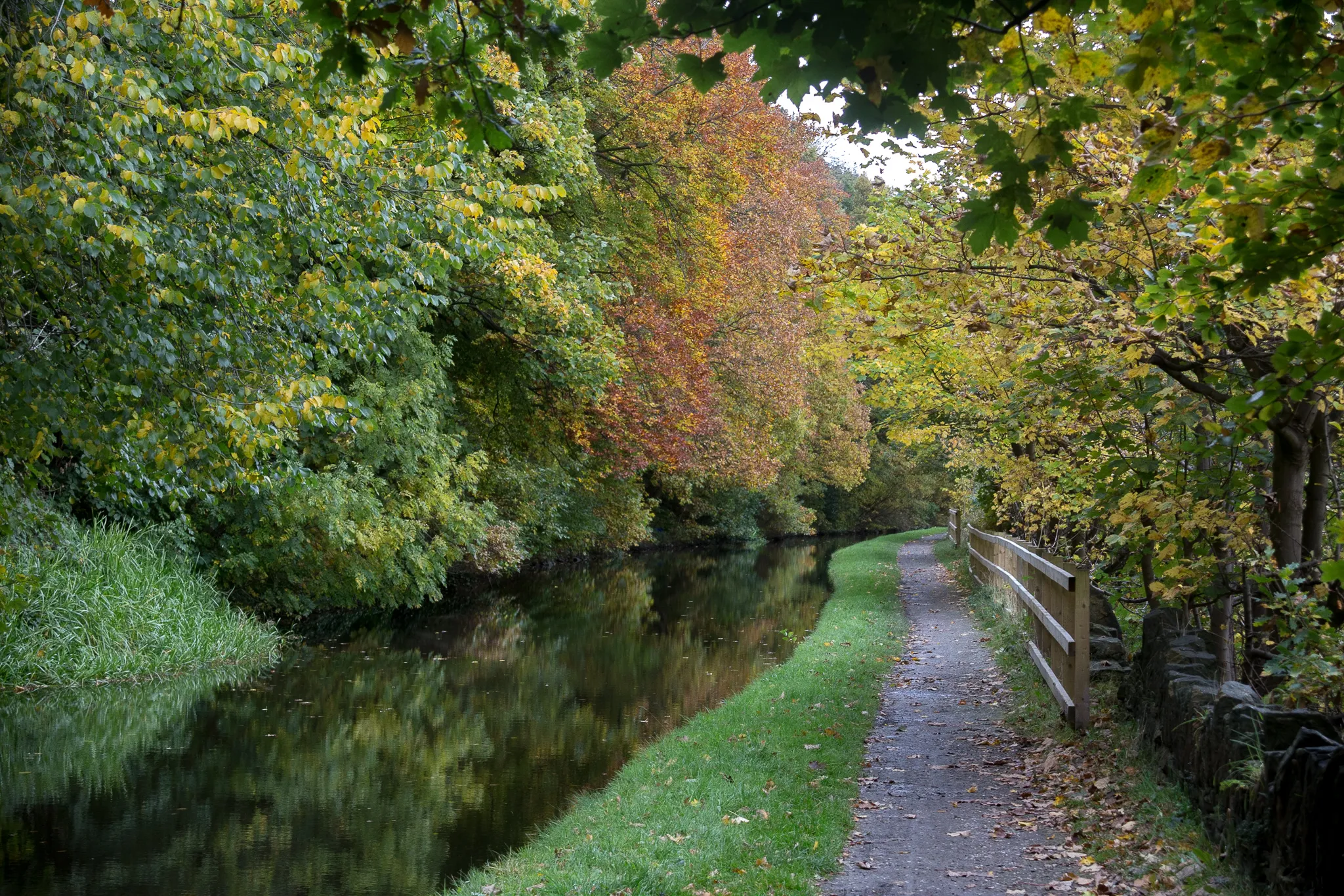 Sowerby Bridge Canal Picture 5